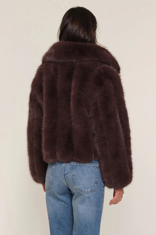 Lana Jacket - Coco