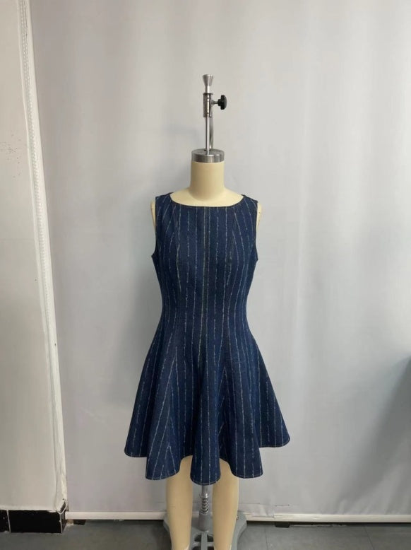 Denim Stripe Fit Flair Short Dress